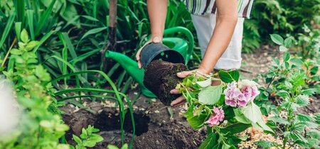 April: de Maand van de Groene Tuin